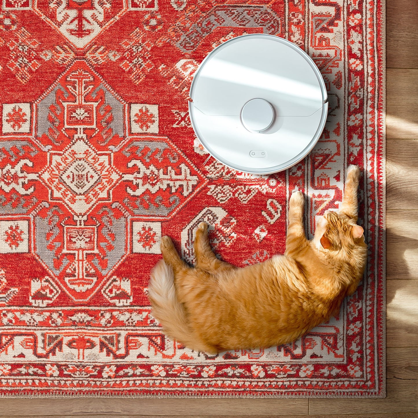 GLN Rugs Knossos - Machine Washable Area Rug - 6'x9' Turkish Vintage Rug - Red/Beige