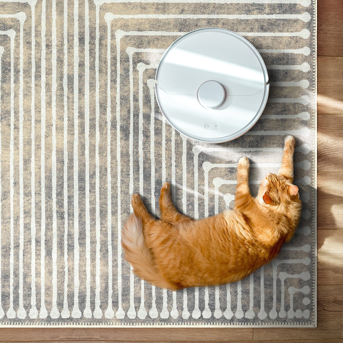 GLN Rugs Ephesus - Machine Washable Area Rug - 8'x10' Turkish Modern Rug Beige/Gray