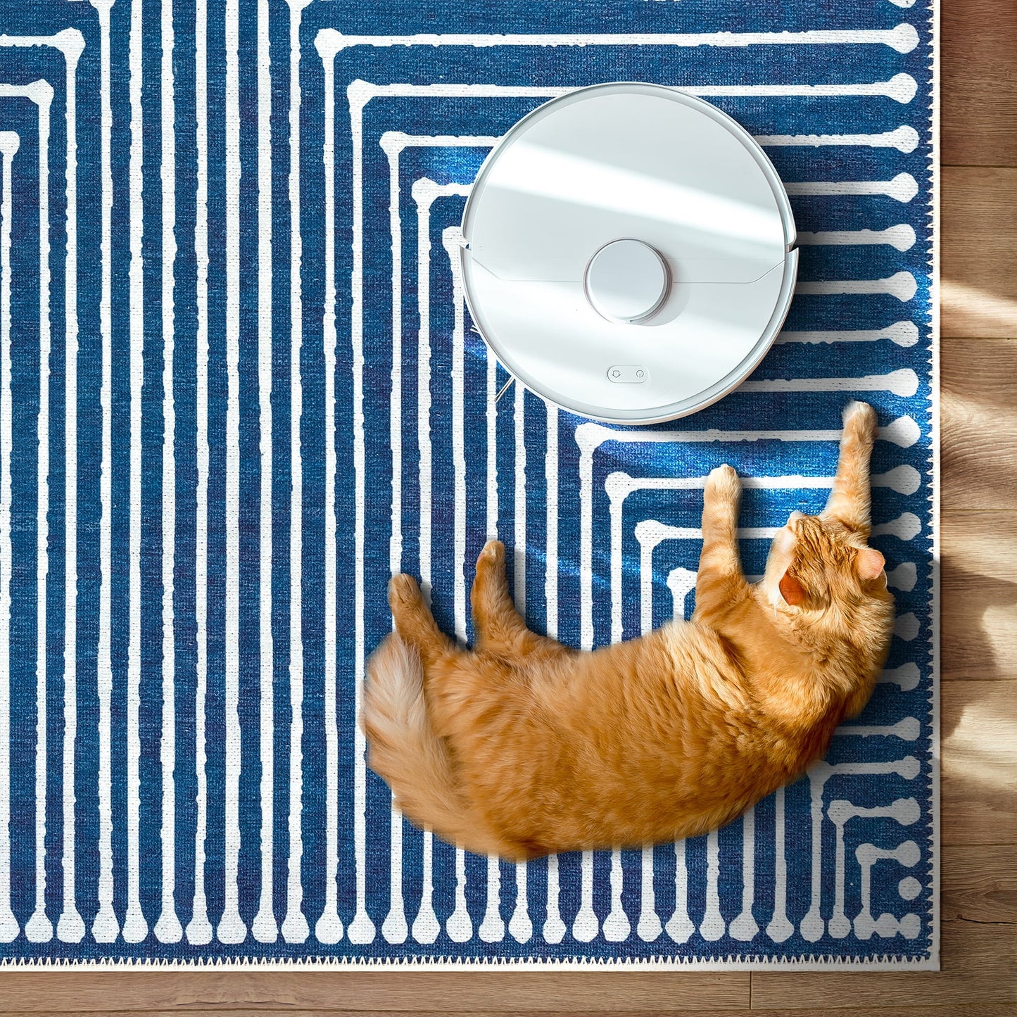 GLN Rugs Assos - Machine Washable Area Rug - 5'x7' Turkish Modern Rug Blue