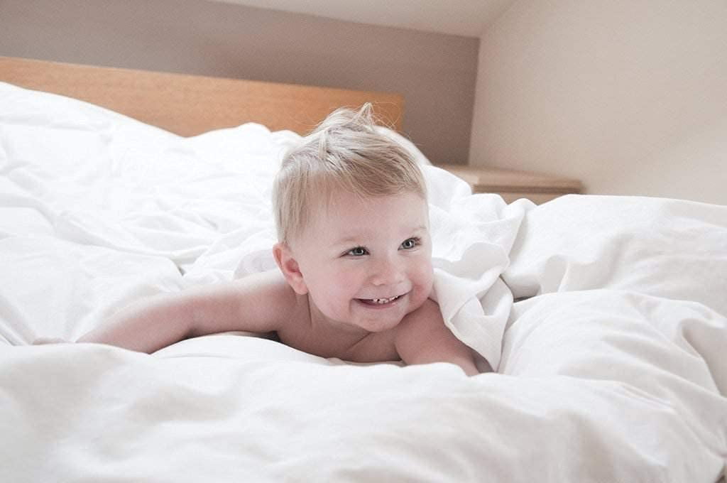 Alive Pixels Sheet Set Ivory Solid 100% Cotton 4Pc 21in inch Pocket 1000TC (Full, Ivory)